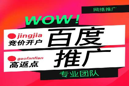 成功案例：SEM竞价代运营助力企业实现持续增长